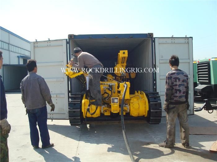 Portable Crawler DTH Hammer Rock Drilling Rig with Mud Pump