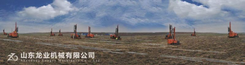 China Dig Hole Machine with GPS System for Solar Project Pile