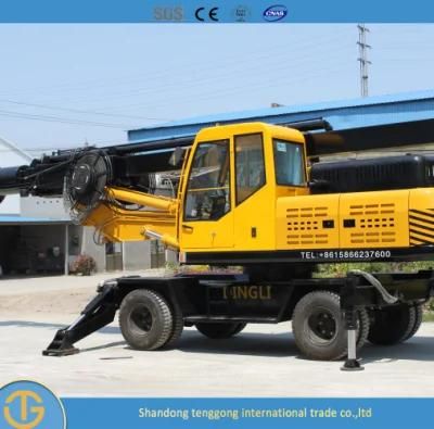 Bored Pile Rotary Oil Surface Mini Piling Machine Head Hydraulic Drilling Rig