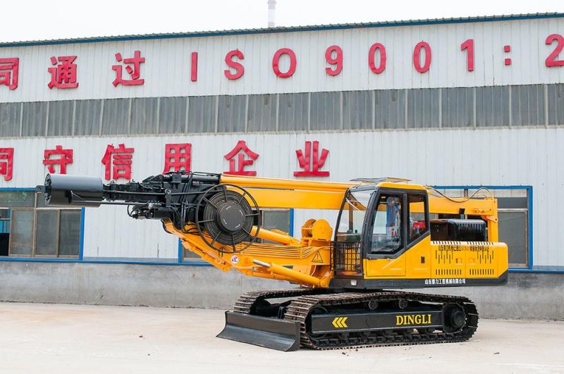 Shandong Province Small Hydraulic System Crawler Drilling Rig Df-20 Model