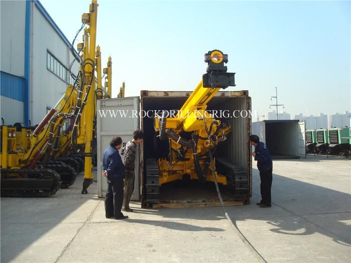 Portable Crawler DTH Hammer Rock Drilling Rig with Mud Pump