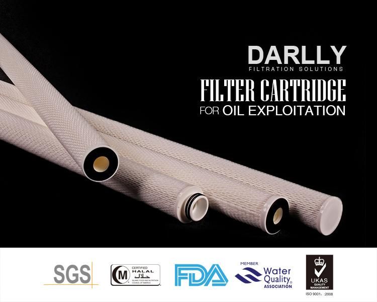 Absolute Pleated Filter Cartridge Twin Filter Parker Equivalent for Water Injection