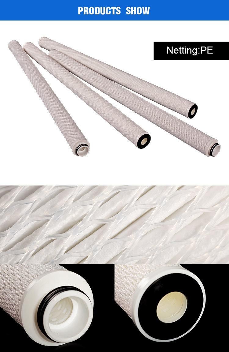 Absolute Pleated Filter Cartridge Twin Filter Parker Equivalent for Water Injection