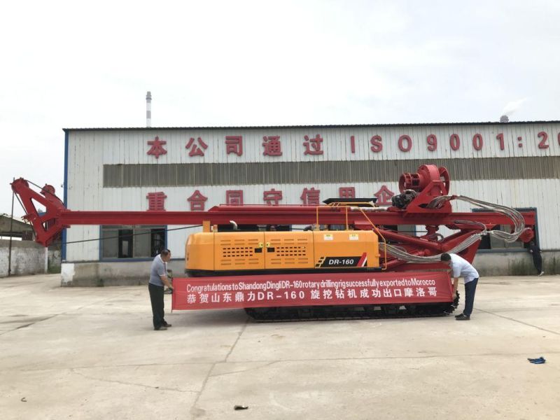 Mini Construction/Rotary Borehole Drilling Rig Machine for Engineering Construction Foundation/Pile Drilling Rig Equipment Dr-160 for Sale